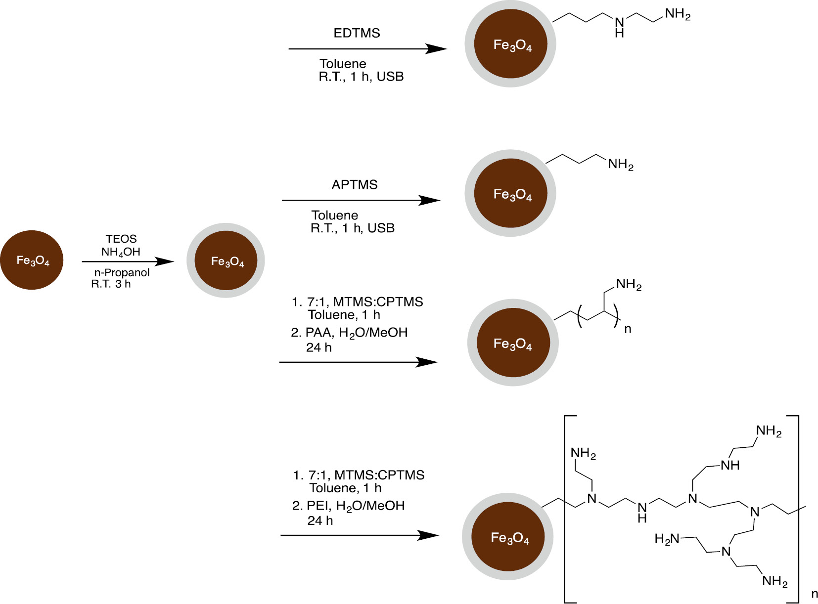 Fig. 5: 
          Amine modified core-shell silica magnetite nanoparticles.
        