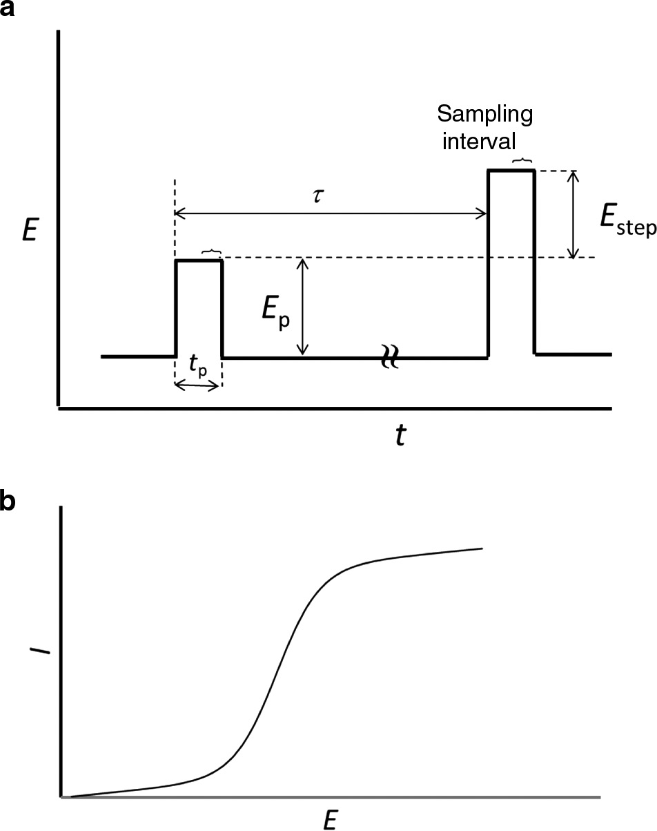 Fig. 6.3.15-1: 
              (a) Waveform for normal pulse voltammetry (not to scale). Typical values for pulse parameters are τ=1 s, tp=50 ms, Ep=2 mV, Estep=2 mV. Sampling interval indicated by horizontal curly brackets is typically 15 ms. (b) Normal pulse voltammogram.
            