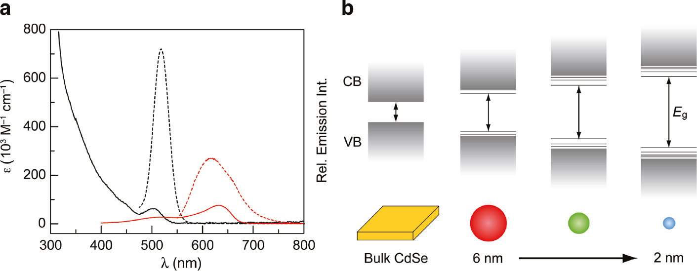 Fig. 1: 
						(a) Absorption (solid lines) and emission spectra (dotted lines) of a CdSe QD in toluene (—) and Nile blue, a molecular fluorophore, in ethanol (). The QD exhibits a broad absorption spectrum and sharp emission profile. Conversely, the molecular fluorophore exhibits a broad emission spectrum that tails to the red region of the spectrum. (b) Schematic representation of quantum confinement. As the size of the particle decreases, the exciton becomes confined and behaves like a particle in a box (E~1/r2). The effective band gap Eg increases and discrete, molecule-like energy levels form at the band edges. Reprinted with permission from [28]. Copyright 2014 American Chemical Society.
					