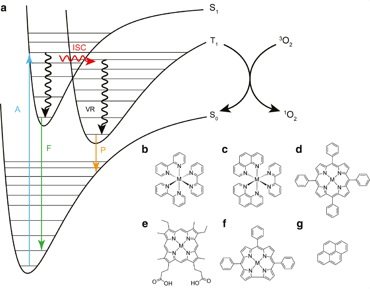 Fig. 2:
(a) Jablonski diagram illustrating photophysical processes that can occur after photon absorption. Photonic processes are drawn with straight arrows: absorption (A), fluorescence (F), and phosphorescence (P). Non-radiative processes are denoted with wavy arrows: vibrational relaxation (VR) and intersystem crossing (ISC). Chemical structures of common oxygen-responsive phosphorescent molecules: (b) homoleptic bipyridine (bpy) complexes, (c) heteroleptic phenanthroline (phen)/bipyridine (bpy) complexes, (d) tetraphenylporphyrin, (e) mesoporphyrin IX, (f) triphenylcorrole, and (g) pyrene.