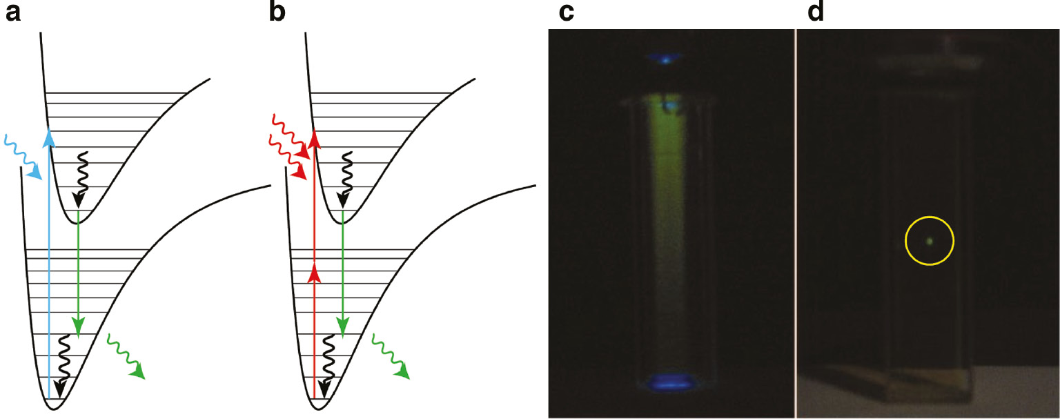 Fig. 4: 
						Comparison of one- versus two-photon excitation processes. (a) A fluorophore is promoted to an excited state by a single blue photon and subsequently emits a green photon. (b) The same transition in (a) is achieved with two red photons whose total energy is equivalent to that of the blue photon. (c) One- and (d) two-photon excitation of fluorescein. Under linear excitation, fluorescence is observed throughout the sample. Conversely, two-photon excitation exhibits sharp, pinpoint emission at the focal point of the excitation source, highlighted with a yellow circle. Reprinted with permission from [28]. Copyright 2014 American Chemical Society.
					