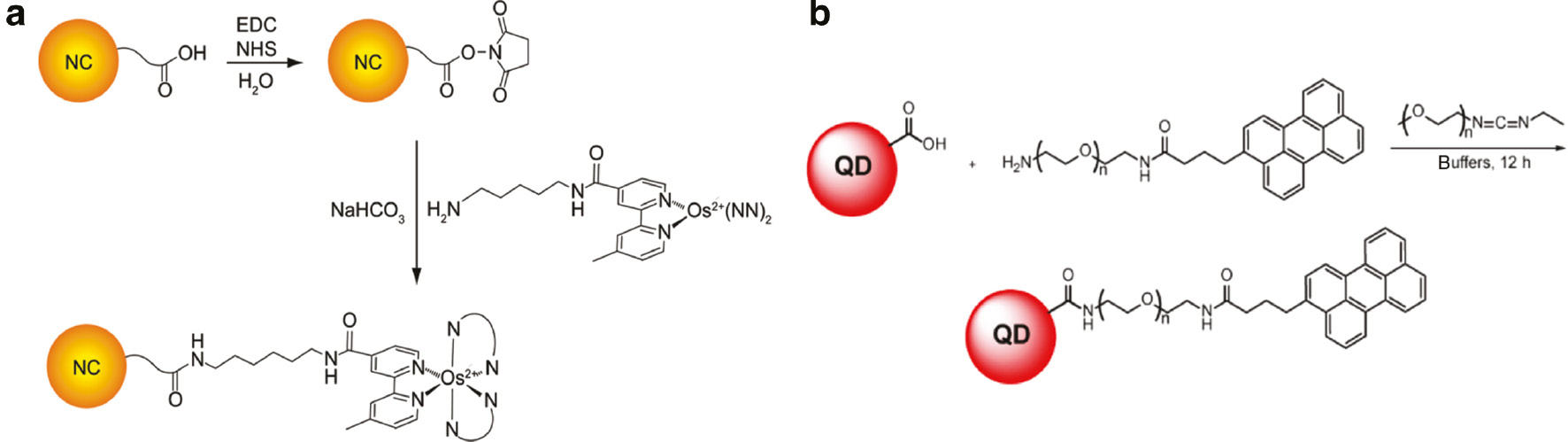 Fig. 6: 
						(a) Schematic representation of the ZnSe/CdSe/CdZnS QD (NC)–Os(II) polypyridine sensor. Reprinted with permission from [127]. Copyright 2009 American Chemical Society. (b) Schematic representation of the AgInS2/ZnS QD–perylene sensor. Reprinted with permission from [128]. Copyright 2016 American Chemical Society.
					
