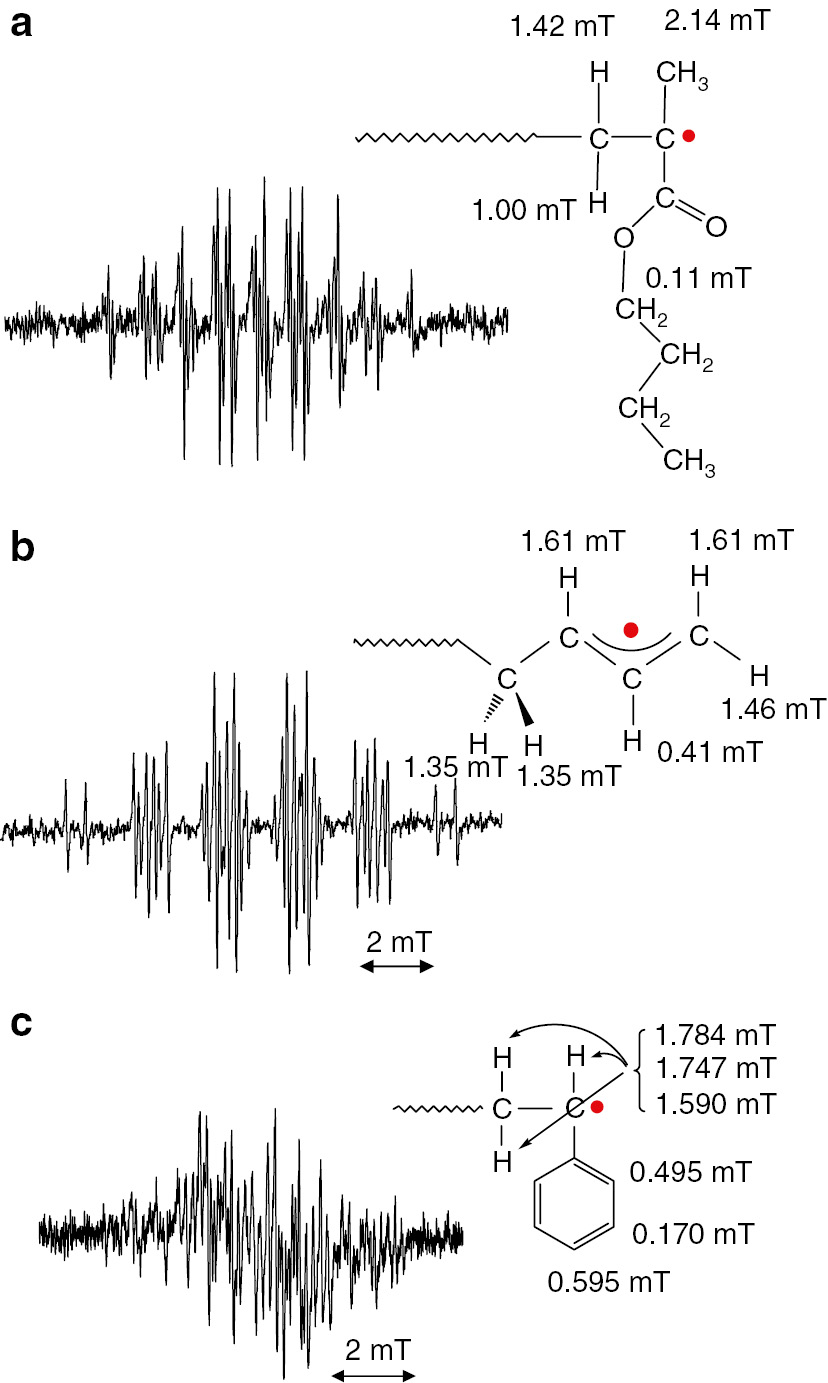 Fig. 1: 
          ESR spectra of propagating radicals of (a) n-butyl methacrylate, (b) 1,3-butadiene and (c) styrene with their structures and measured hyperfine splitting constants (hfc’s). Spectra were observed at 120°C (a), 0°C (b) and 25°C (c) in toluene.
        