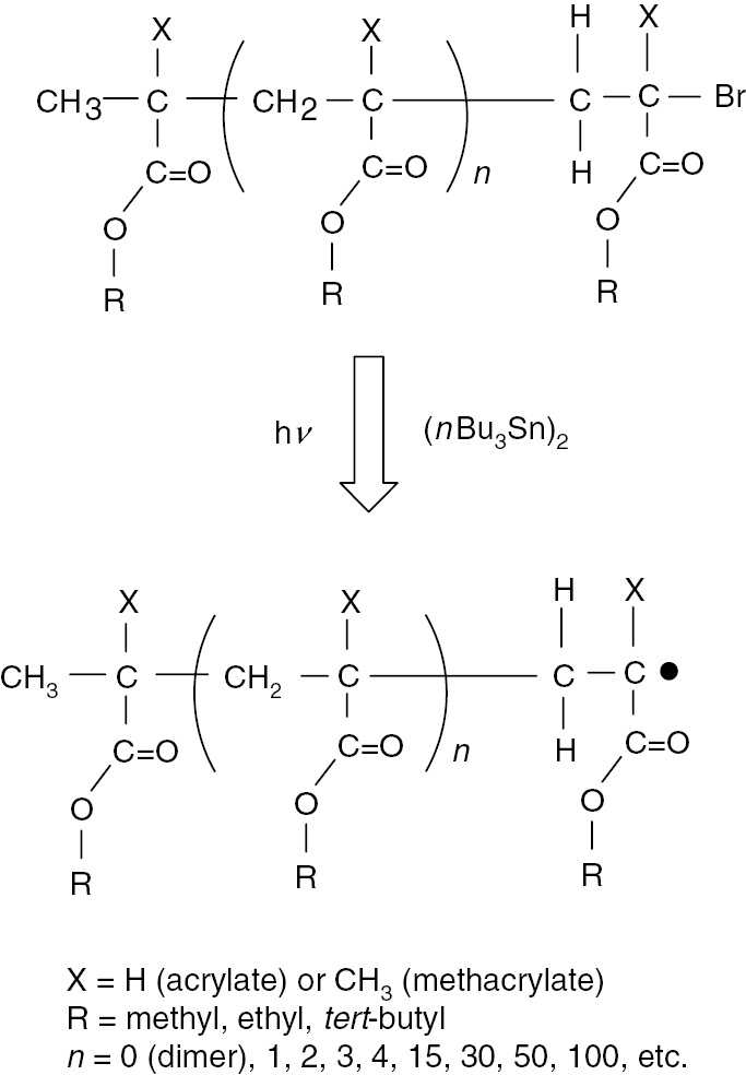 Fig. 2: 
          Generation of radicals from radical precursors prepared by atom transfer radical polymerization (ATRP).
        