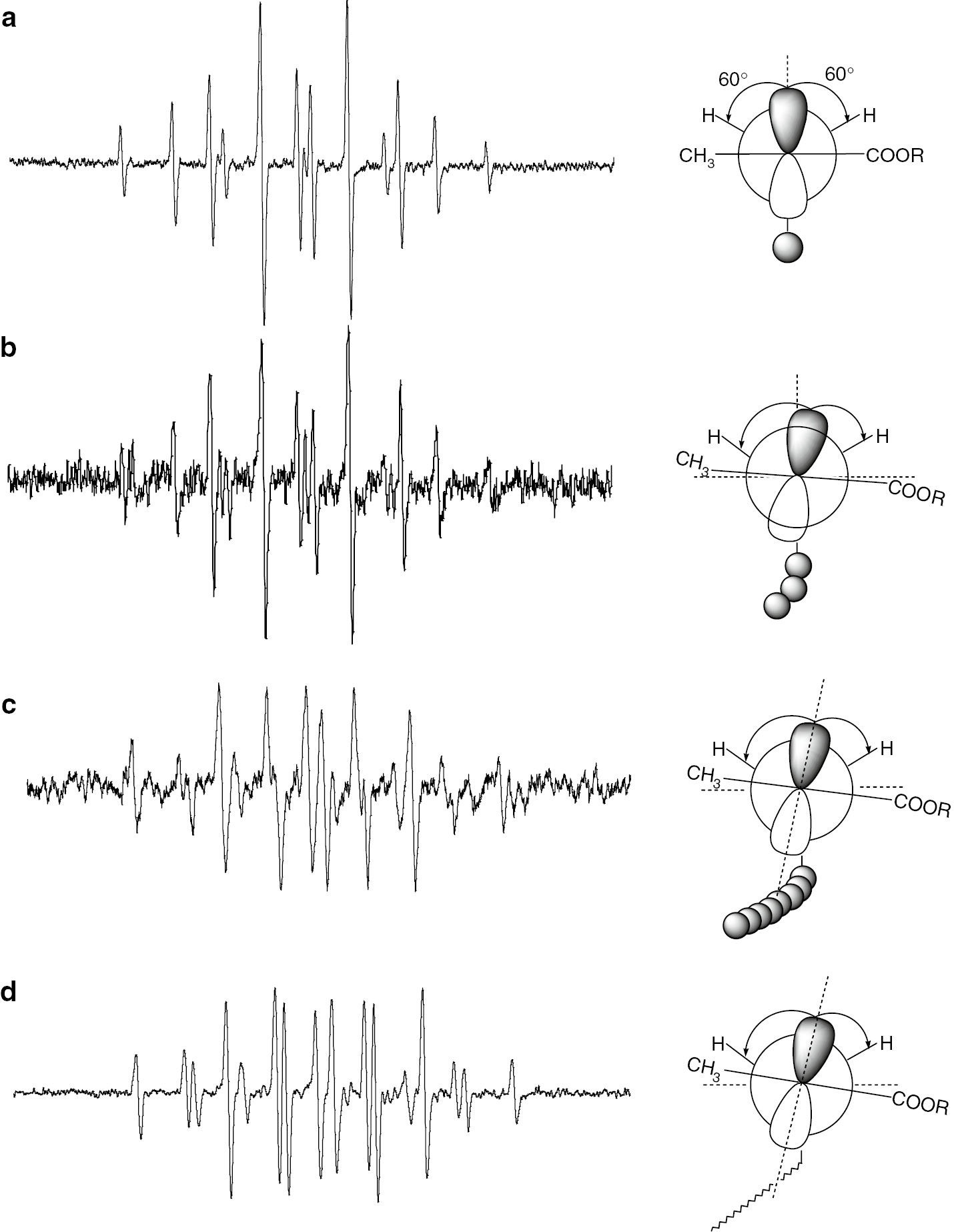 Fig. 3: 
              ESR spectra of model propagating radicals of tBMA with different chain lengths (a) DP=2 (b) DP=5, (c) DP=100 and (d) actual propagating radical observed in an actual polymerization system. Newman projections of the radicals with dihedral angles are also shown.
            