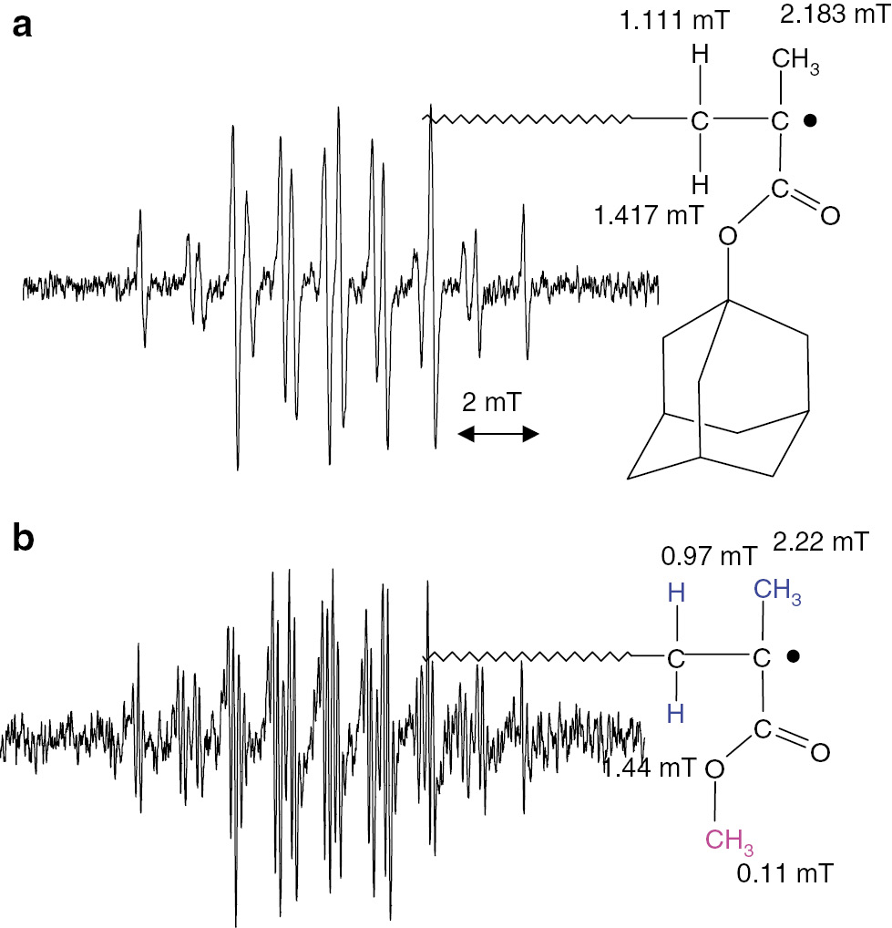 Fig. 5: 
              ESR spectra of propagating radicals of (a) adamantyl methacrylate and (b) methyl methacrylate, both observed in toluene at 120°C.
            