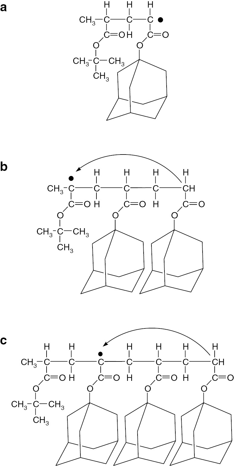 Fig. 9: 
          Structures of the observed (a) dimeric, (b) trimeric and (c) tetrameric model propagating radicals.
        