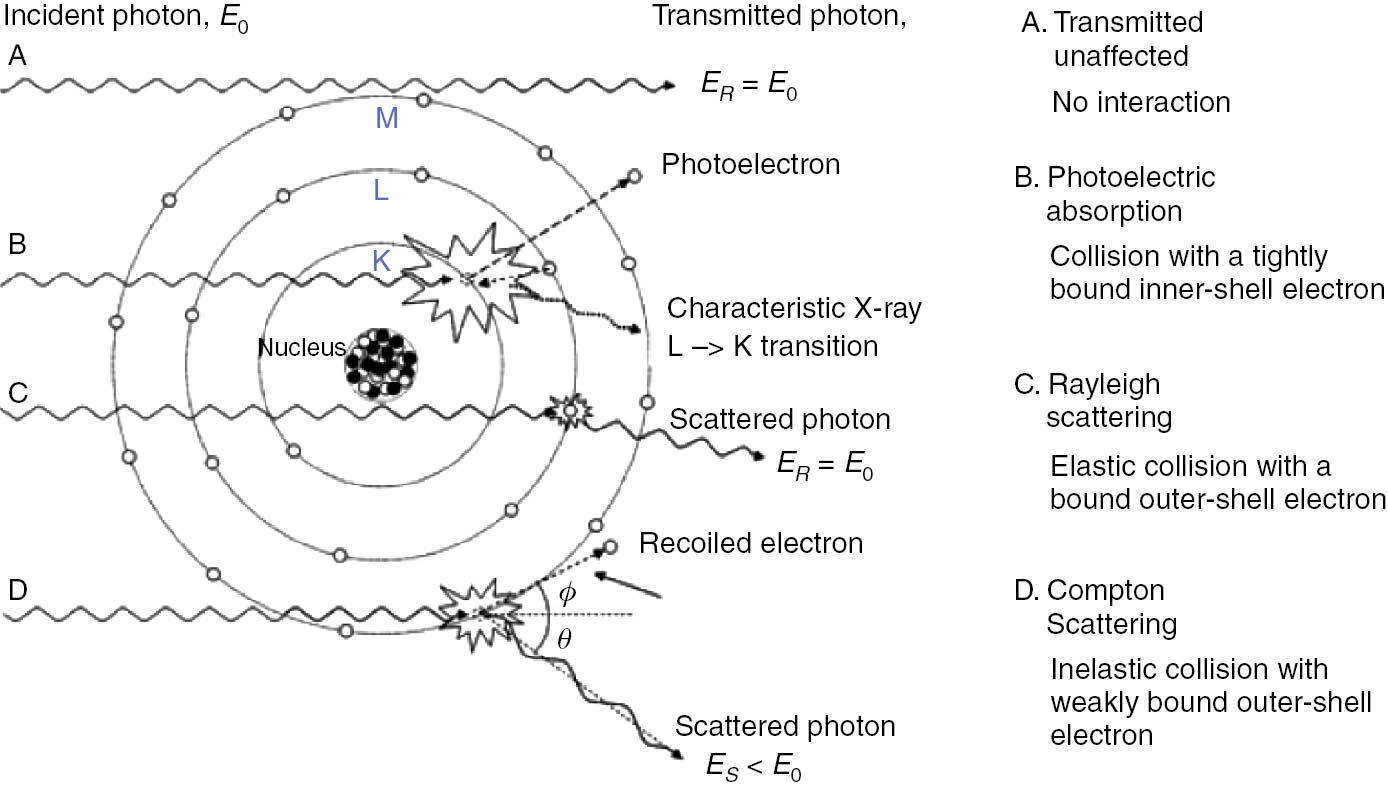 Fig. 1: 
            Interaction processes of X-rays with matter.