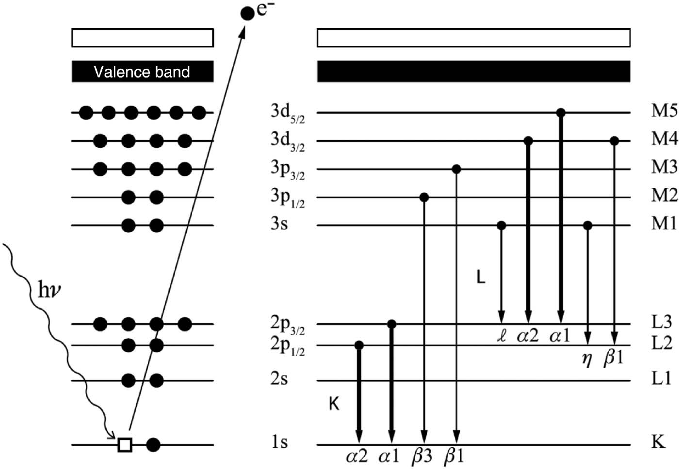 Fig. 2: 
            Inner shell ionization and photo-electron emission (left panel) is quickly followed by one of several electronic transitions (right panel) that serve to fill up the vacant spot left by the photo-electron.