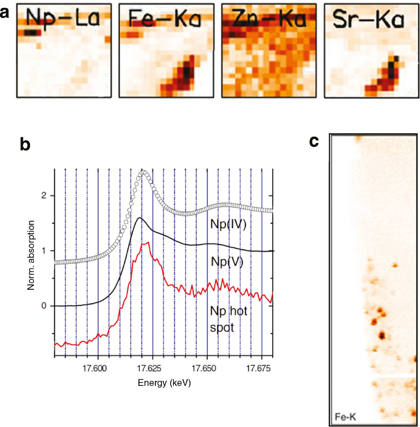 Fig. 14: 
            (a) Elemental distribution maps for Np, Fe, Zn, and Sr in a 300×300 μm2 section of a granite core slice (20 μm step size) reconstructed from μ-XRF data collected about 40 μm below the surface. (b) Np L3 XANES for neptunium(V) and neptunium(IV) references and μ-XANES measured at a Np hot spot –50 μm below the granite surface. Spectra are shifted on the y-axis for clarity. (c) Fe distribution in a 10.75×37.375 mm2 (125 nm steps) area of a section of the granite cut out using focused ion beam (FIB). The exposed surface of a fissure evident in the lower half of the object exhibits nanoparticulate iron on the fissure wall. This area exhibited Np XRF intensity prior to FIBing, but no longer measureable Np fluorescence post FIBing.