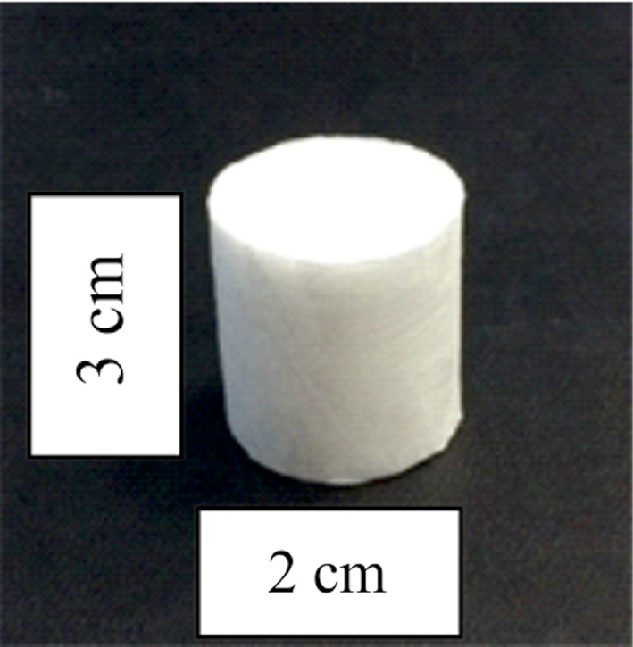 Fig. 1: Polylactide bone implant.