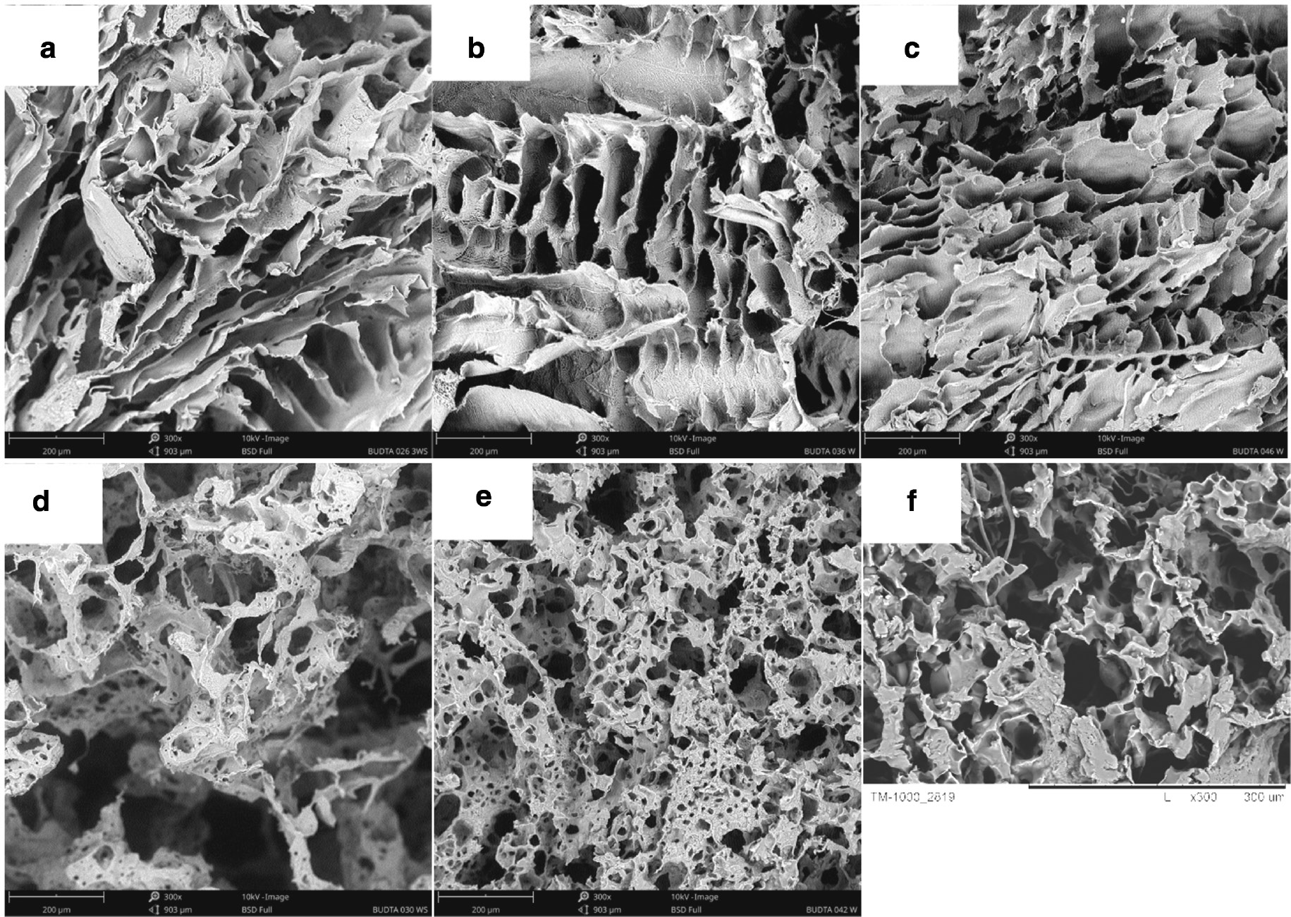 Fig. 2: SEM images of poly-L-lactide bone implants prepared at pouring temperature of 27°C: PLLA concentration by weight in 1,4-dioxane: 3 wt% (a, d), 5 wt% (b, e), 7 wt% (c, f). Porophore/PLLA solution in 1,4-dioxane volume ratio: 0 (a–c), 0.08 (d–f). 300× magnification.