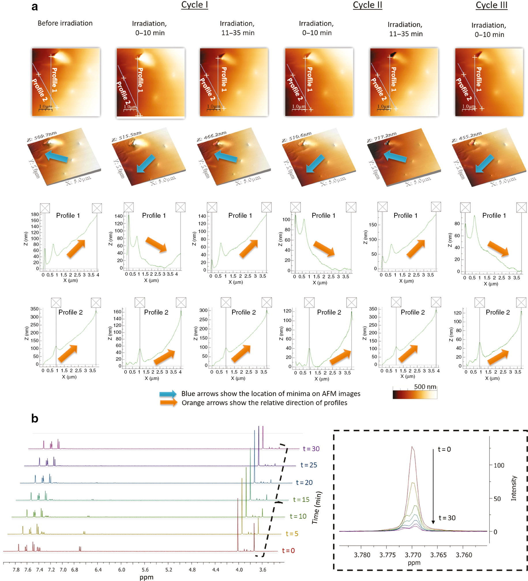 Fig. 5: (a) AFM topographies of microcapsule surface changes caused by visible light irradiation; (b) kinetic of thermal back isomerization at 70°C starting from a mixture of trans and cis isomers.
