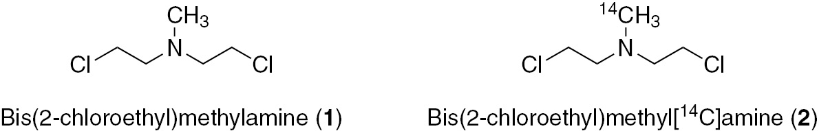 Fig. 1: Nitrogen mustard HN2 (left) and a 14C-labelled analogue (right).