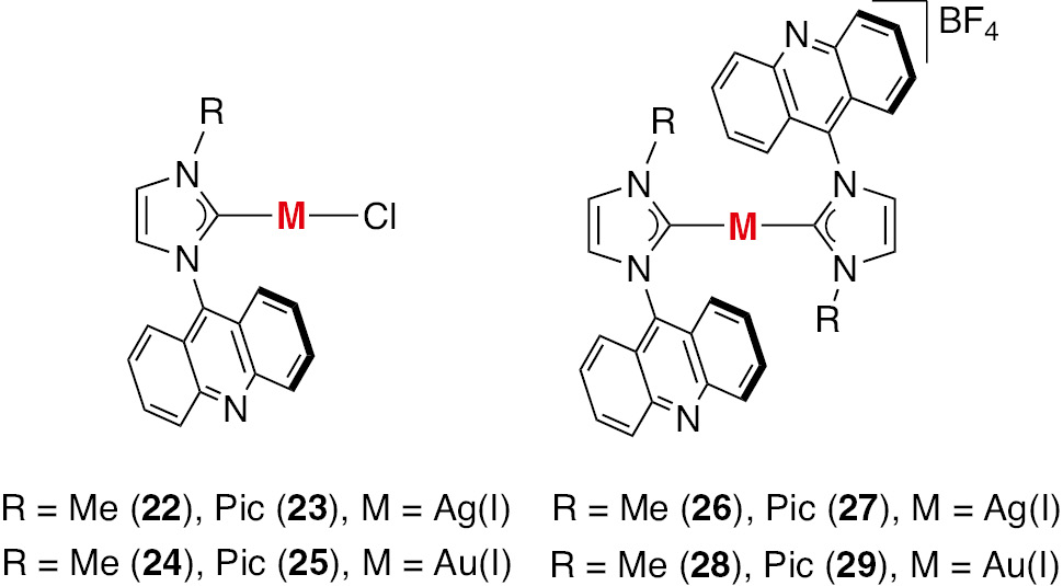 Fig. 4: Ag(I) and Au(I) complexes 22–29 containing acridine-based NHC ligands.