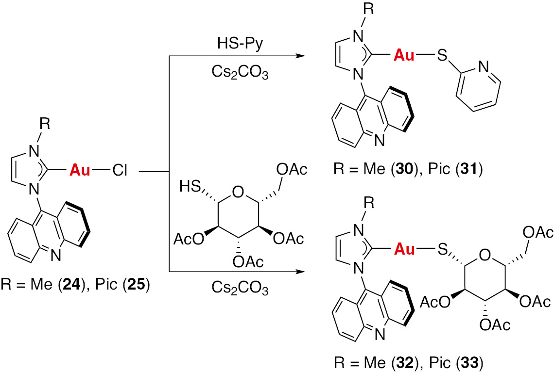 Scheme 3: Synthesis of the thiolate NHC gold complexes.