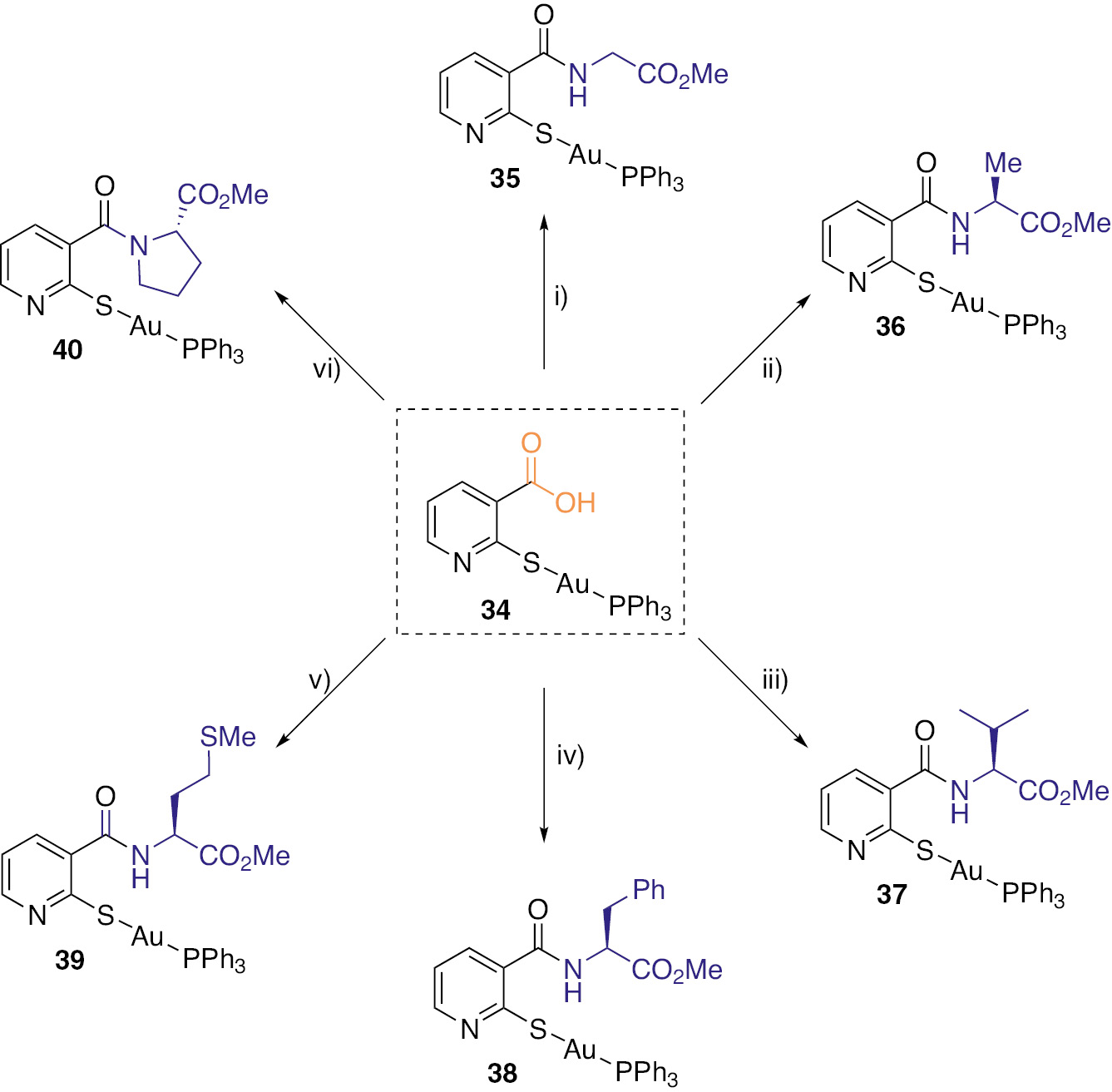 Scheme 4: Synthesis of complexes 35–40: (i) Glycine methyl ester, DIPEA, PyBOP; (ii) alanine methyl ester, DIPEA, PyBOP; (iii) valine methyl ester, DIPEA, PyBOP; (iv) phenylalanine methyl ester, DIPEA, PyBOP; (v) methionine methyl ester, DIPEA, PyBOP; (vi) proline methyl ester, DIPEA, PyBOP.