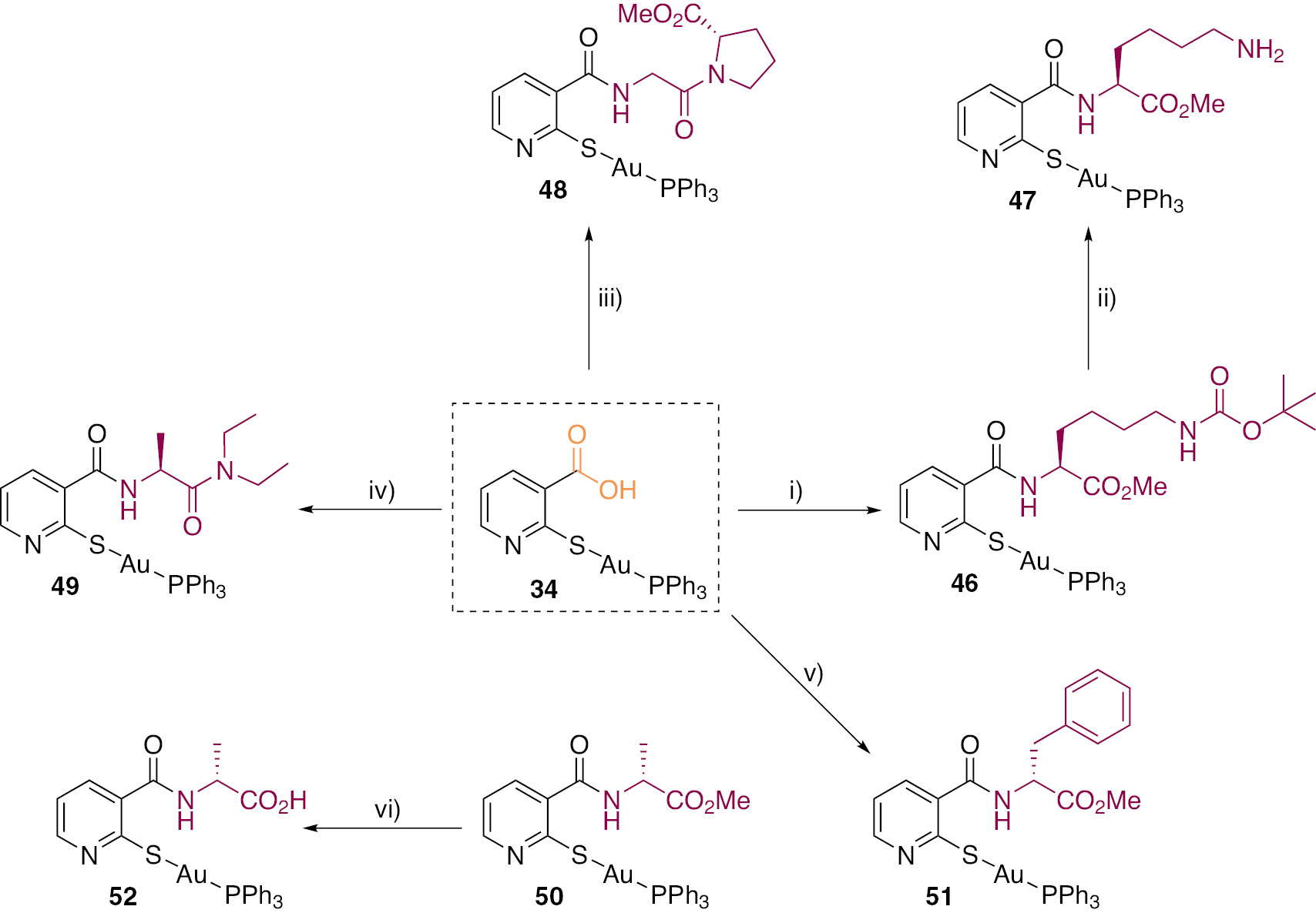 Scheme 5: Synthesis of complexes 46–52: (i) HCl·H-Lys(Boc)-OMe, PyBOP, DIPEA, MeCN, (ii) TFA–DCM (1:1 v/v), (iii) HCl·H-Gly-Pro-OMe, PyBOP, DIPEA, MeCN, (iv) HCl·H-Gly-OMe, PyBOP, DIPEA; LiOH, KHSO4; HNEt2, PyBOP, DIPEA; MeCN, (v) HCl-H-(D)-aa-OMe, PyBOP, DIPEA, MeCN, (vi) LiOH, KHSO4.