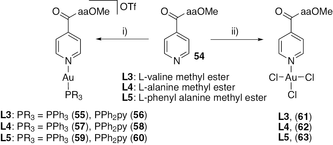 Scheme 6: Synthesis of Au(I) complexes 55–60 and Au(III) complexes 61–63: (i) [Au(OTf)(PR3)] and (ii) AuCl3·nH2O.
