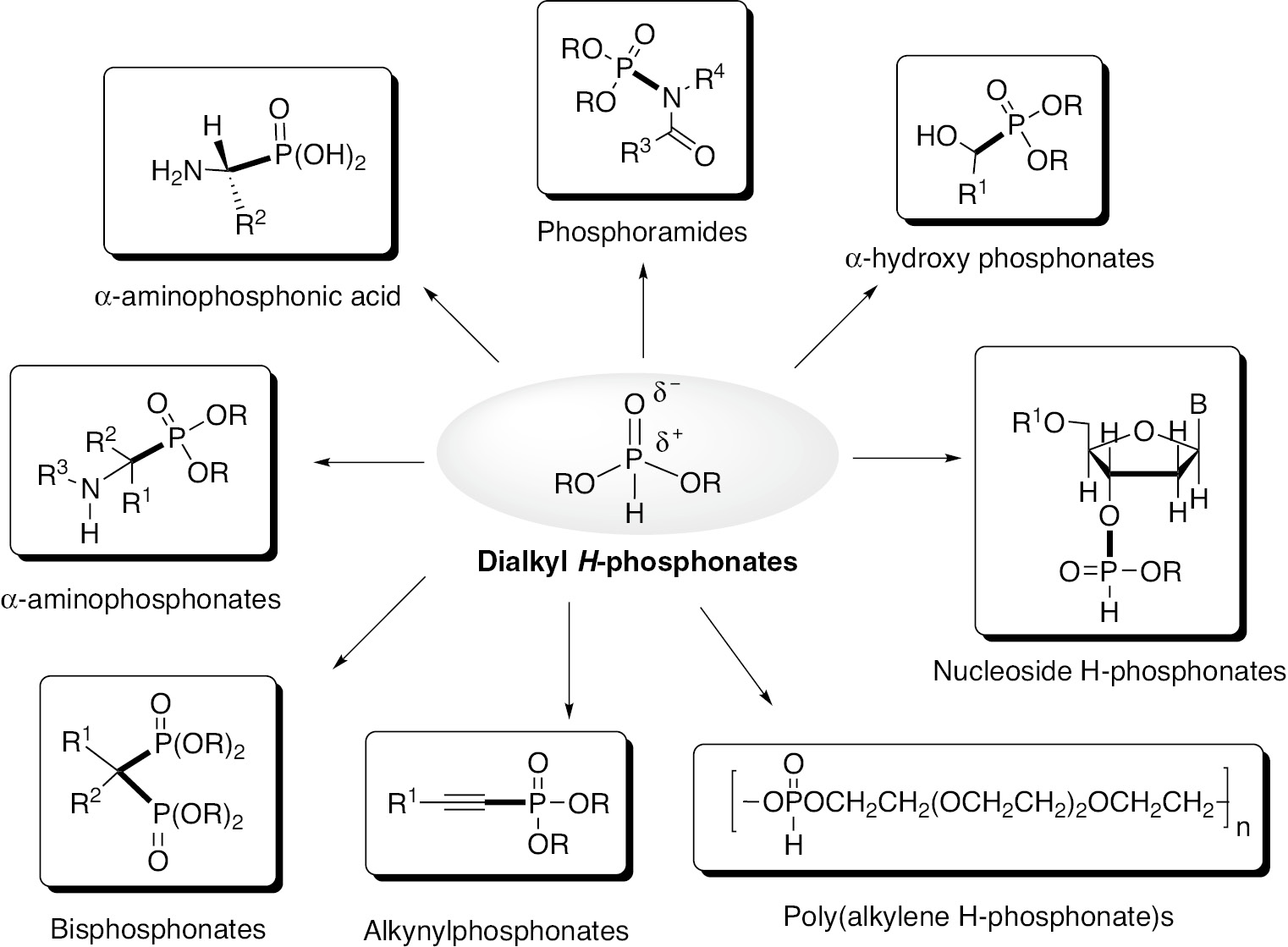 Scheme 1: 
          Application of H-phosphonates as building blocks.
        