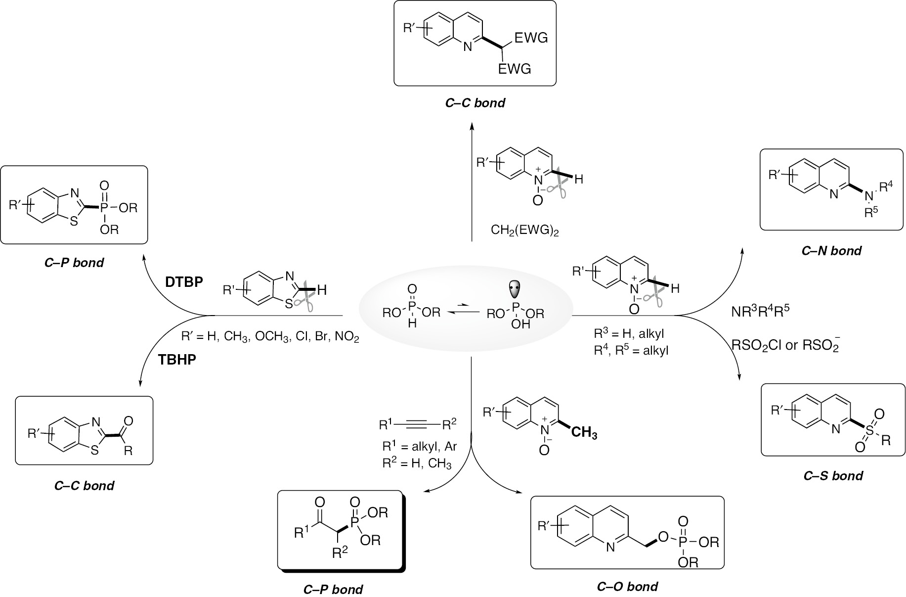 Scheme 2: 
          Application of H-phosphonates for C element bond formation.
        