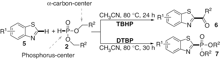 Scheme 5: 
          Reaction of benzothiazoles and H-phosphonates.
        