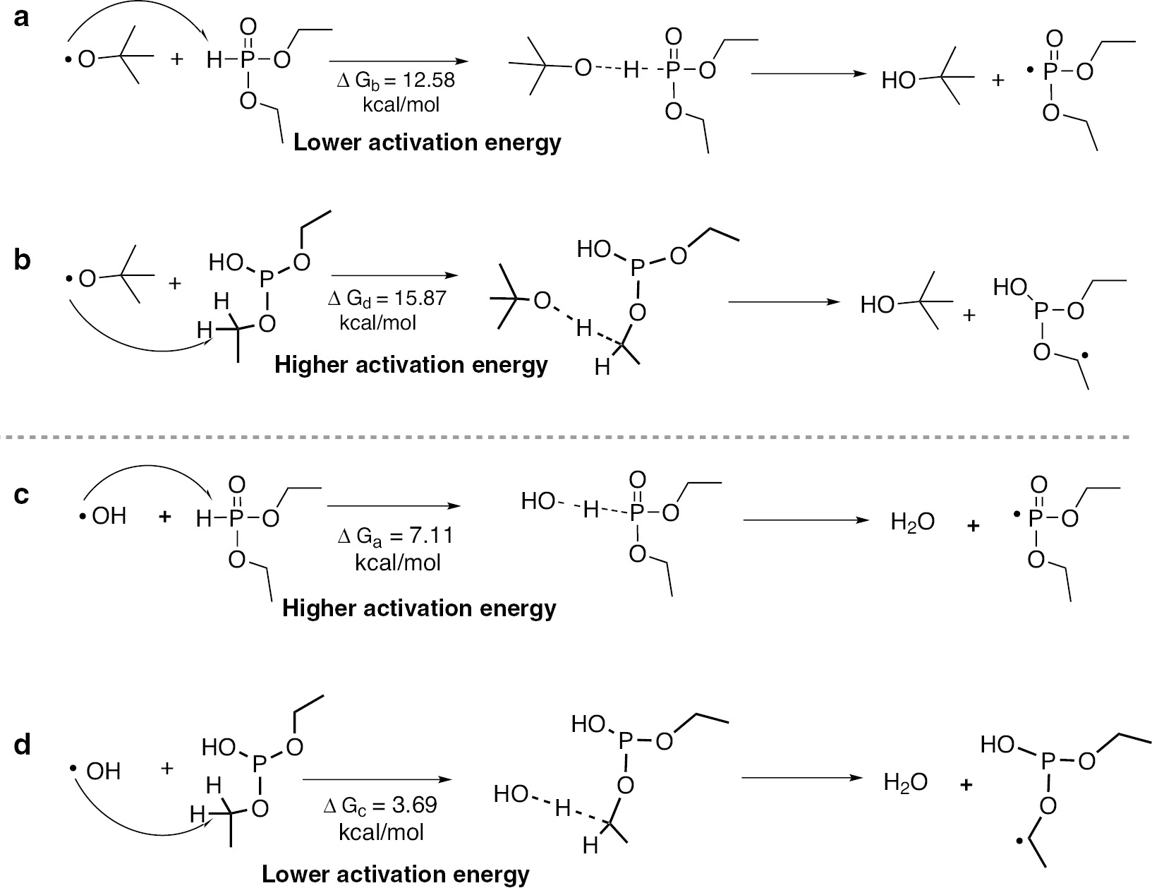 Scheme 6: 
          Proton transfer pathways and the corresponding free energy barriers.
        