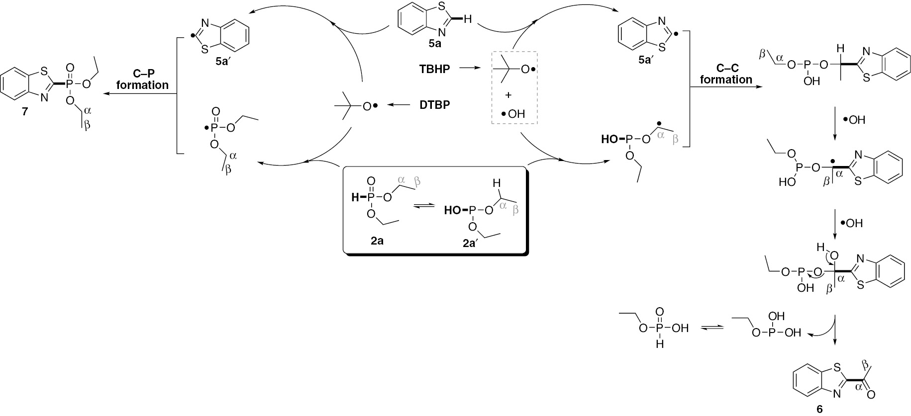 Scheme 7: 
          Proposed reaction mechanism.
        