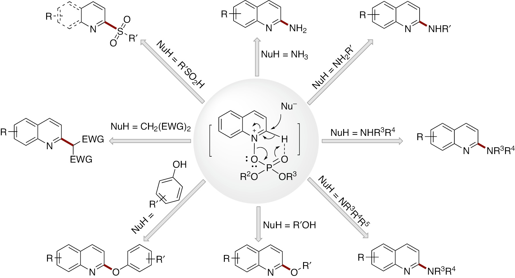 Scheme 8: 
          Overview of H-phosphonates mediate for the transformation of heteroaromatic N-oxides.
        