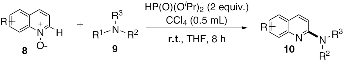 Scheme 9: 
          
            H-Phosphonate-mediated amination of quinoline N-oxides with tertiary amines.
        