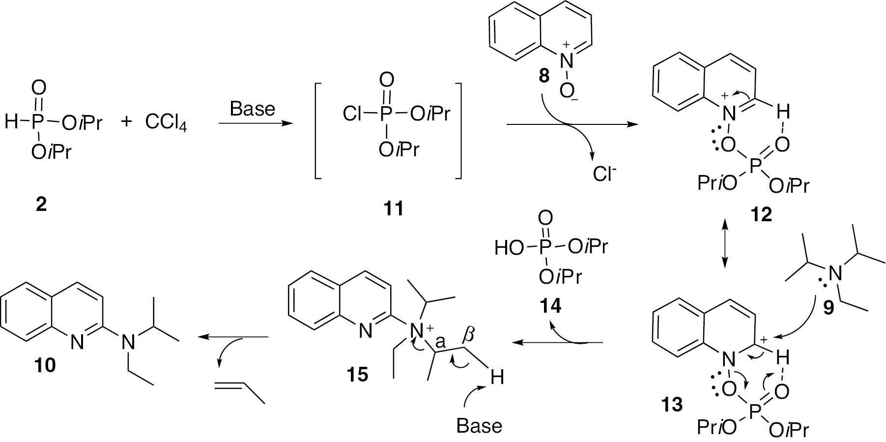 Scheme 10: 
          Proposed mechanism.
        