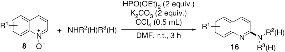 Scheme 11: 
          
            H-Phosphonate-mediated amination of quinoline N-oxides with secondary and primary amines.
        