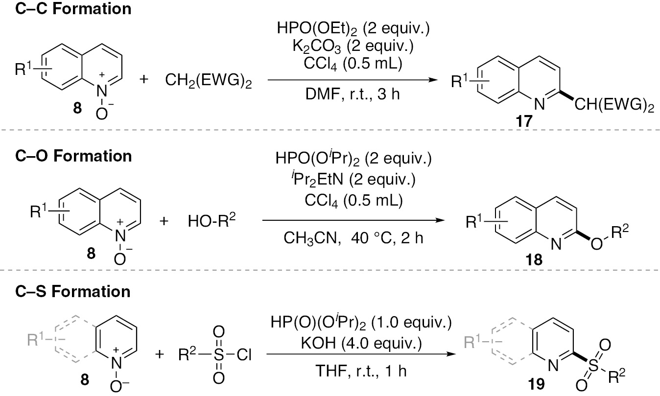 Scheme 12: 
          
            H-Phosphonate-mediated transformation of quinoline N-oxides.
        