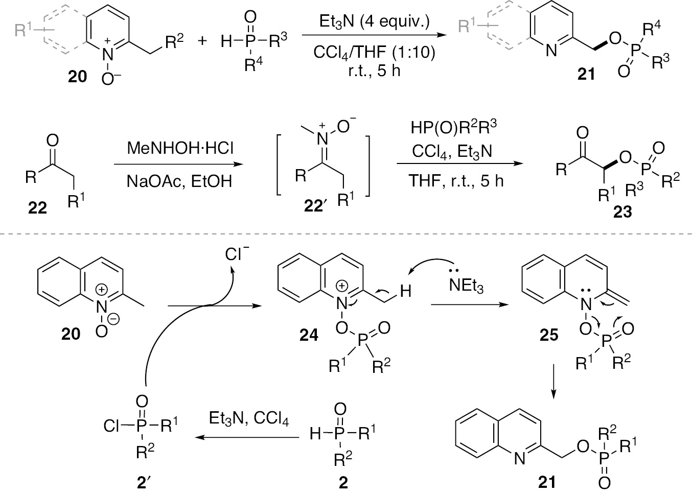 Scheme 13: 
          
            H-Phosphonate in the [3,3]-sigmatropic rearrangement and the proposed mechanism.
        