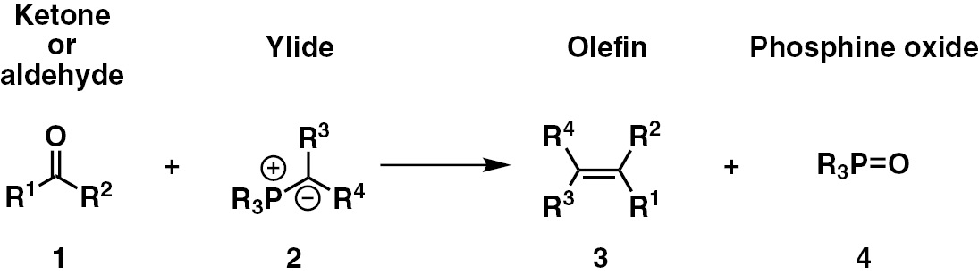 Scheme 1: 
          The Wittig reaction.
        