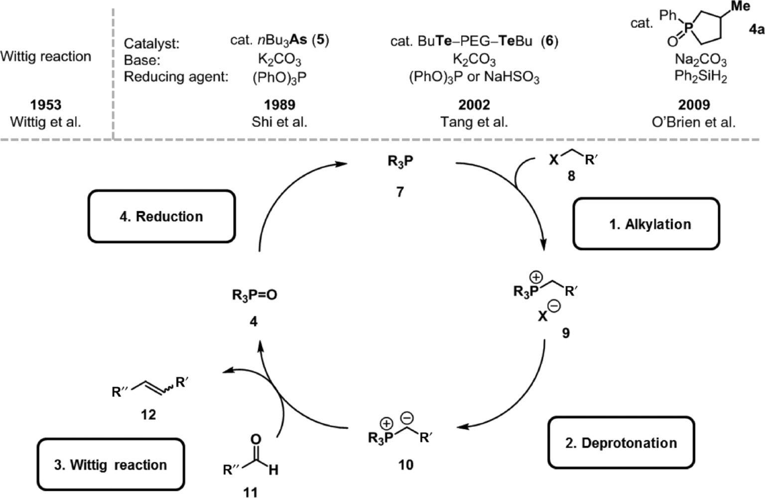 Scheme 2: 
          Proposed catalytic cycle for the Wittig reaction and first reports on catalytic Wittig(-type) reactions.
        