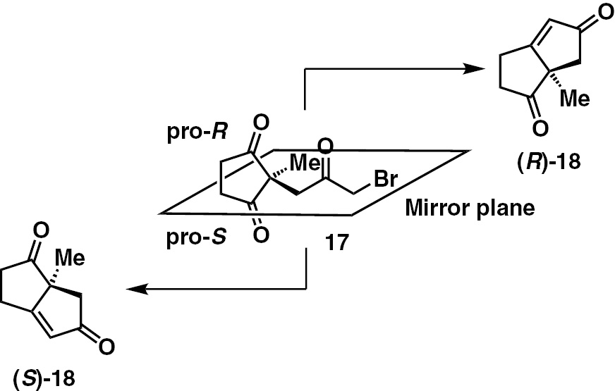 Scheme 6: 
            Intramolecular Wittig reaction of pro-chiral diketones lead to chiral products.
          