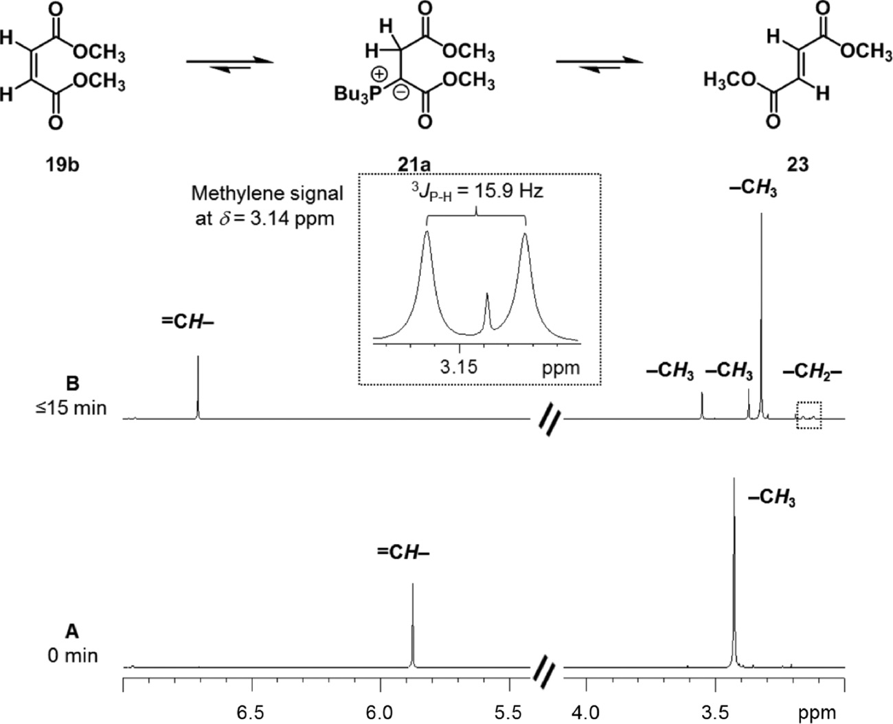 Scheme 10: 
            Isomerization of dimethyl maleate (19b) to fumerate 23 and the respective carbon–phosphorus ylide 21a. SpectrumA: section of the 1H NMR spectra of dimethyl maleate (19b). Spectrum B: section of the 1H NMR of a 1:1 mixture of nBu3P/dimethyl maleate (1:1) in toluene-d8 at 296 K after a reaction time of ≤15 min.
          