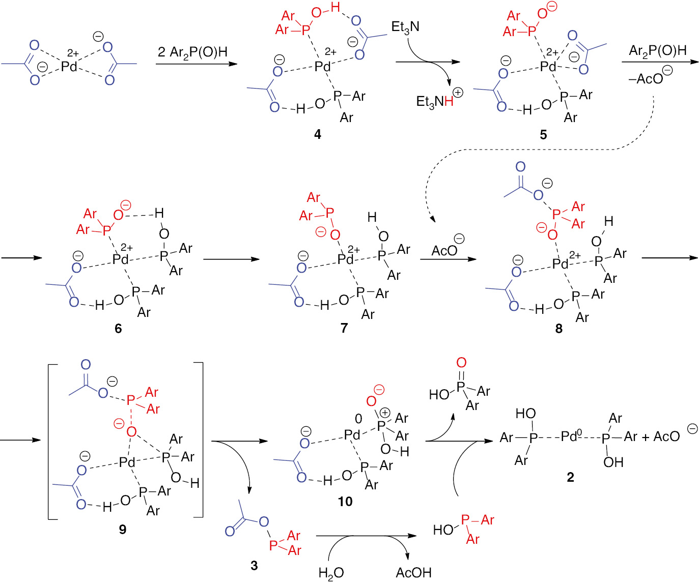 Scheme 2: 
                Proposed detailed mechanism for the formation of catalyst [(HO)Ar2P]2Pd from Pd(OAc)2 and Ar2P(O)H including the explicit-implicit solvent model.
              