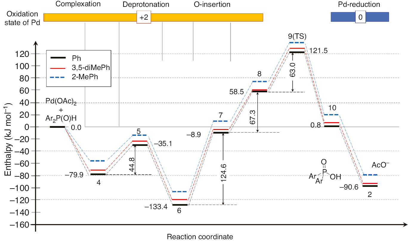 Fig. 2: 
                Energetics for the reductive formation of the Pd(Ar2POH)2 complex form Pd(OAc)2 and Ar2POH calculated by the B3LYP/genecp//PCM(EtOH) method using the 6-31G(d,p) basis set for CHOP, and SDD(MWB28) for Pd atoms including the explicit-implicit solvent model.
              