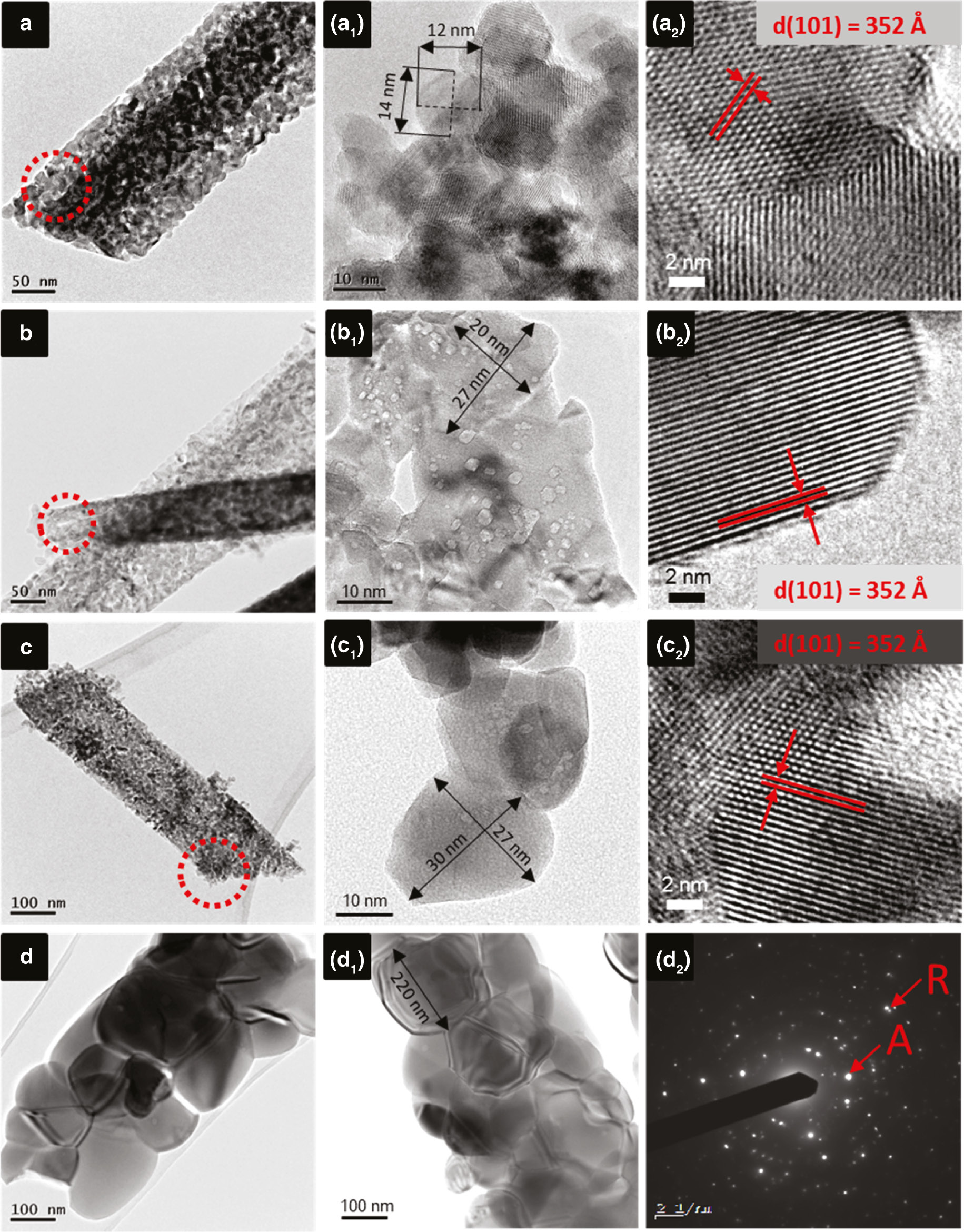 Fig. 3: 
          Representative TEM and HRTEM images: (a–d) low magnification of samples 1D TiO/500, 1D TiO/650, 1D TiO/800, 1D TiO/950, (a1–d1) high magnification of the red marked area, (a2−c2) lattice fringes of anatase crystal lattice, (d2) SEAD confirming anatase-rutile mixture at 950°C.
        