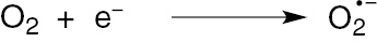 Scheme 5: Electrogeneration of superoxide anion.