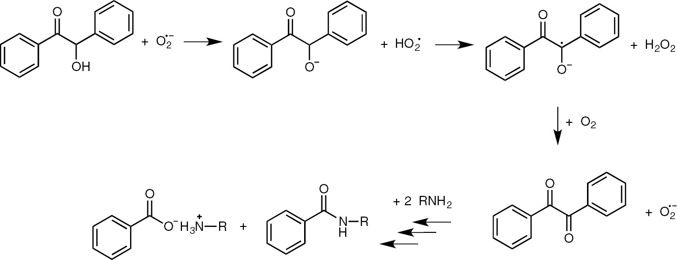 Scheme 7: Proposed mechanism for the amidation of benzoin.