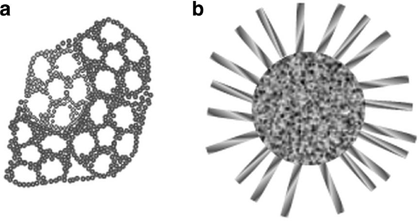 Fig. 1: Pore morphology of TA-MSNPs (a) and WSNs (b).