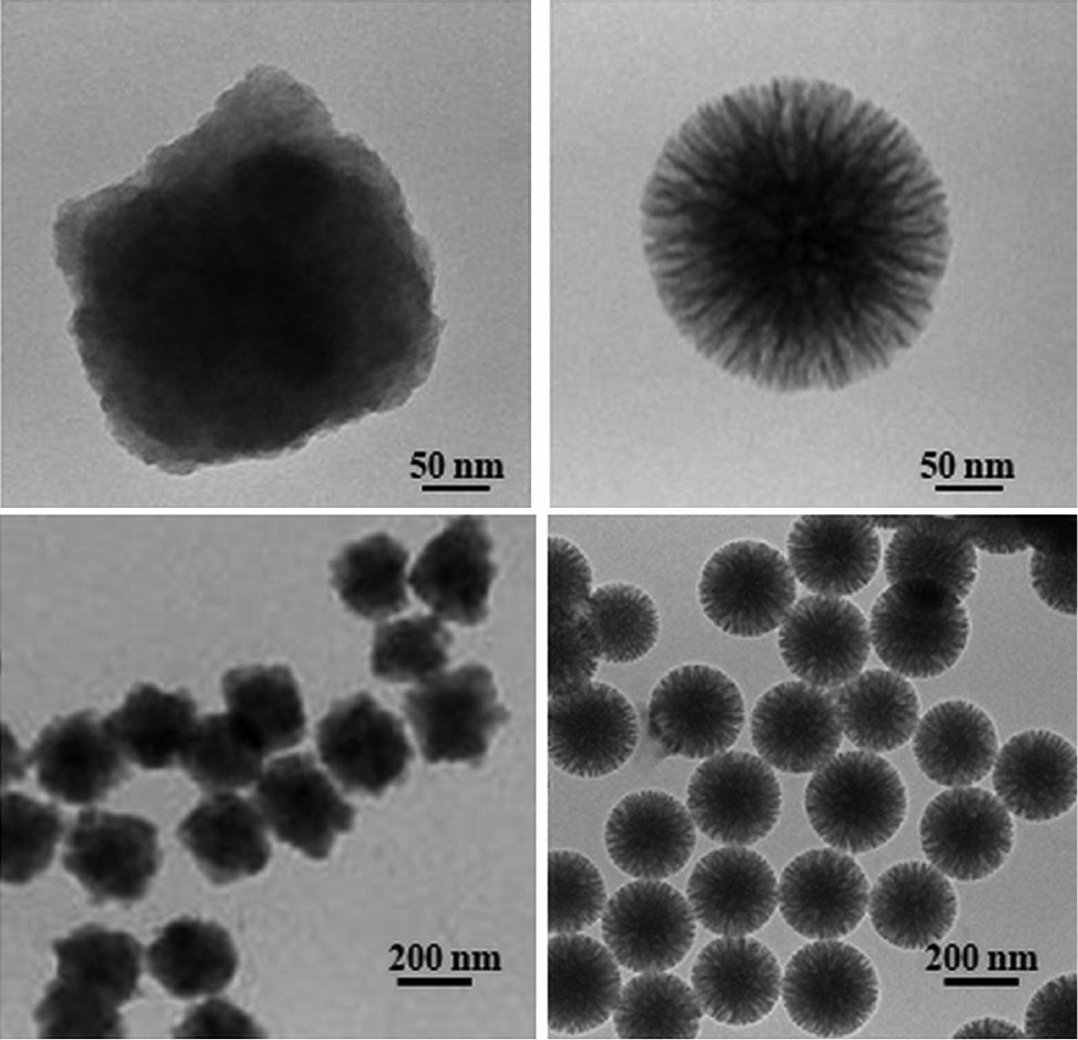 Fig. 2: TEM micrographs of TA-MSNPs (left) and WSNs (right) at different magnifications.