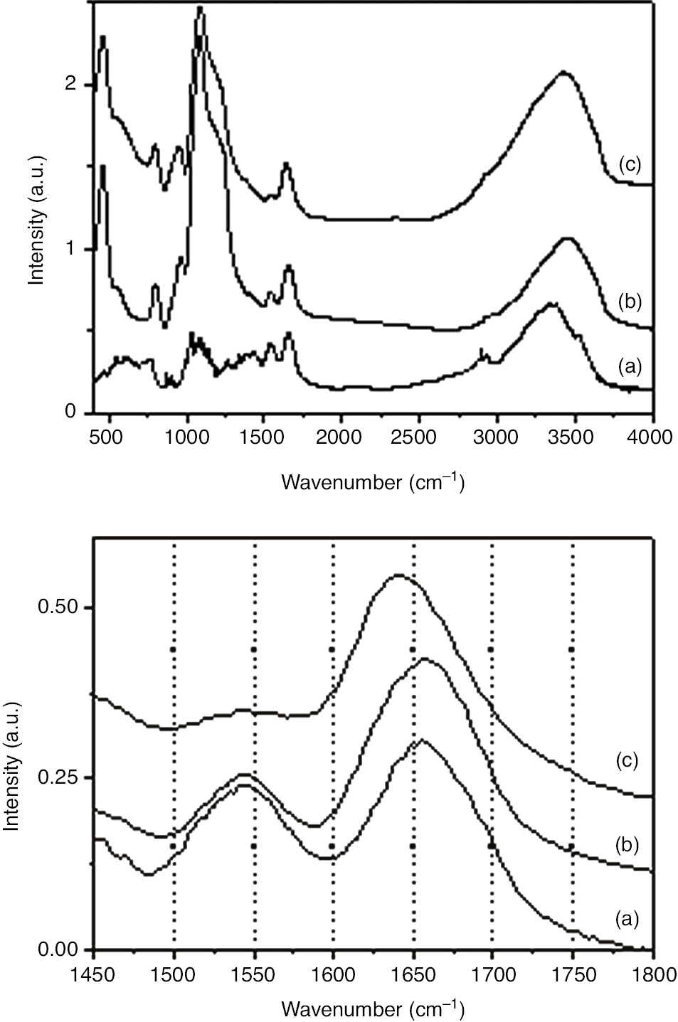 Fig. 4: FT-IR spectra of lyophilized BG (a), BG/WSNs (b) and BG/TA-MSNPs (c) (left), a zoom on amide I and II region (right).