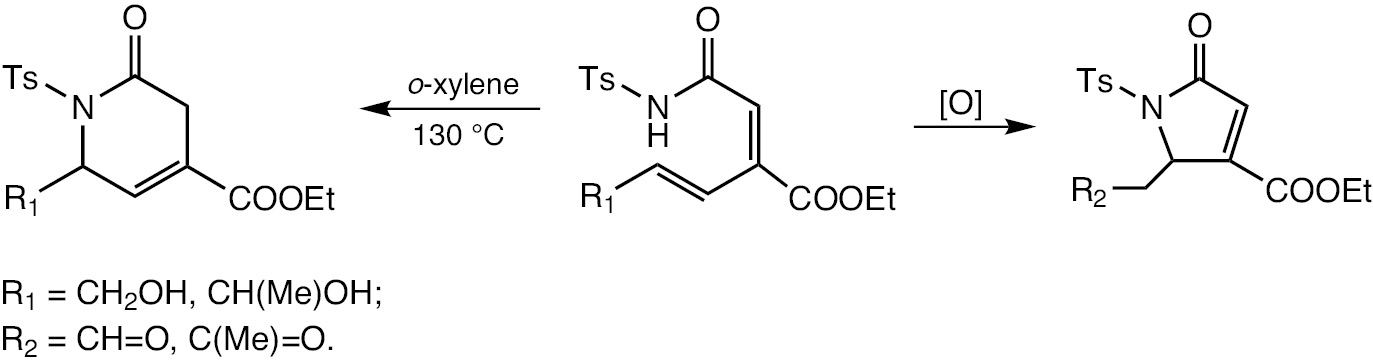 Scheme 56: 6-Endo- vs. 5-exocyclization of N-sulfonylenamides.