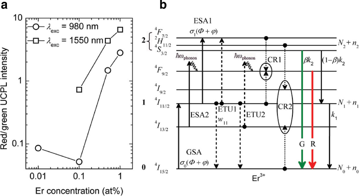 Fig. 8: 
          Green and Red upconversion photoluminescence.
          (a) Red-to-Green UCPL emission intensity ratio versus Er3+ concentration in GGAS at pumping wavelength of 980 and 1550 nm, (b) Schematic of energy-level diagram for green and red UCPL emission at pumping wavelength of 975 nm; the curved arrows indicate the multiphonon relaxation routes; Ni represent population densities with perturbed population densities ni at energy level i originating from a sinusoidal modulation φ of continuous-wave photon-flux density Φ; β is branching ratio under three-level model approximation. (Color online).
        