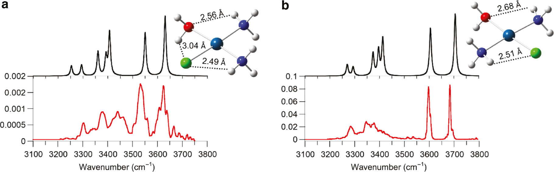 Fig. 1: Experimental IRMPD spectra of cis-[PtCl(NH3)2(H2O)]+ (a) and trans-[PtCl(NH3)2(H2O)]+ (b) (red profiles) compared with calculated harmonic IR spectra (black profiles) of optimized structures (top right) at MP2/cc-pVTZ (Pt=LANL2TZ) level of theory. Theoretical spectra are scaled by a 0.957 factor.