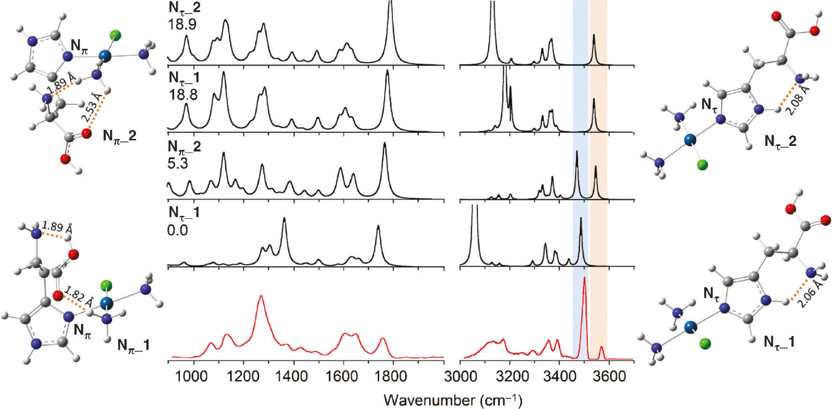 Fig. 6: IRMPD spectrum of cis-[PtCl(NH3)2His]+ (red profile) compared to the unscaled linear anharmonic IR spectra calculated at B3LYP/6-311+G(d,p) (Pt=LANL2TZ) level for the most stable conformers of Nπ and Nτ families of isomers (black profiles). Optimized geometries at the same level of theory are reported together with relative free energies at 298 K in kJ mol−1 calculated at the ωB97X-D/6-311+G(d,p) level.